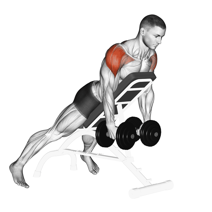 Demonstration of the dumbbell incline rear lateral raise