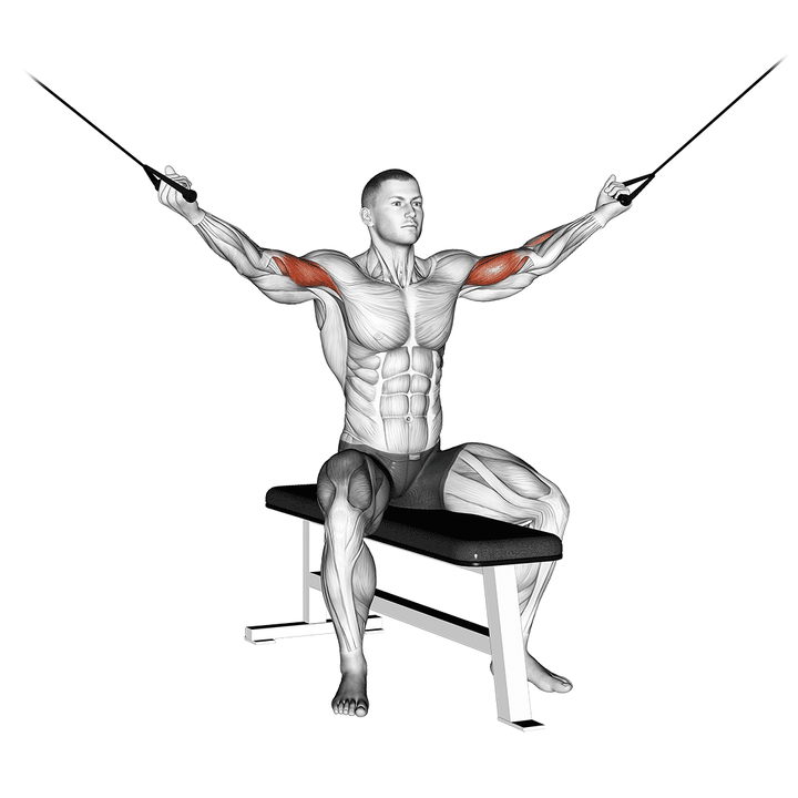 Demonstration of the cable seated overhead curl