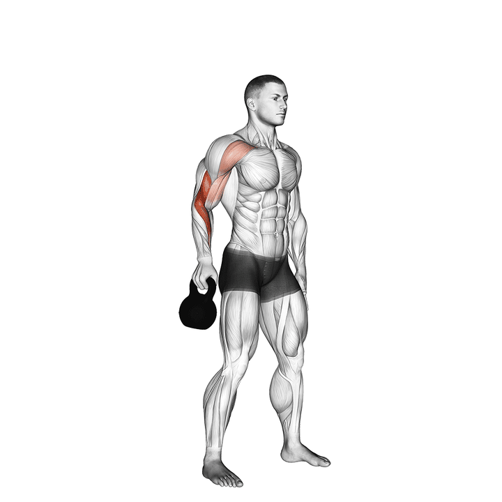Demonstration of the kettlebell bottoms up clean from the hang position