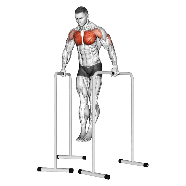 Demonstration of the wide-grip chest dip on high parallel bars
