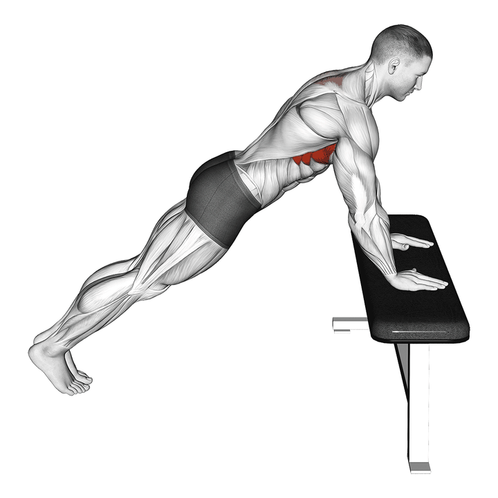 Demonstration of the incline scapula push up
