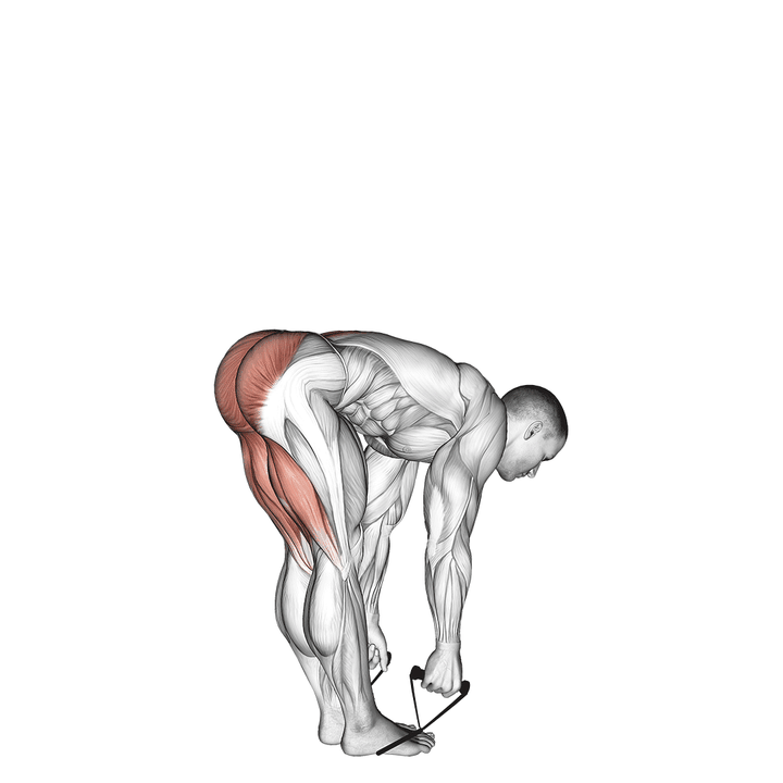 Demonstration of the band straight leg deadlift - declined variation
