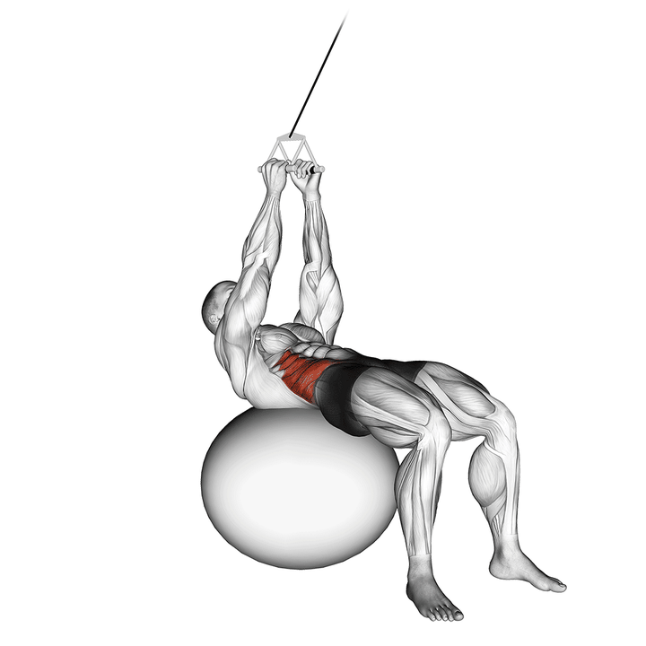 Demonstration of the cable russian twists (on stability ball)