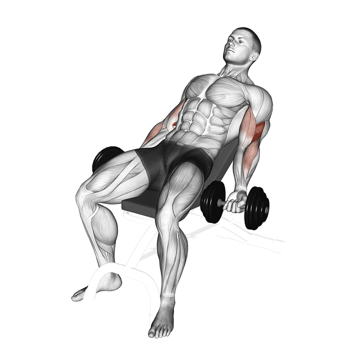 Demonstration of the dumbbell incline curl