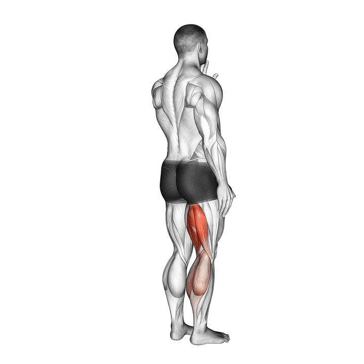 Demonstration of the standing single leg curl