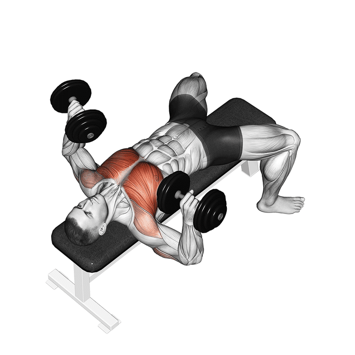Demonstration of the dumbbell bench press
