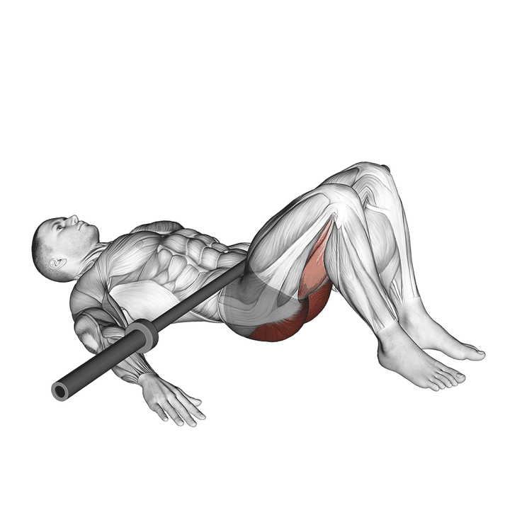 Demonstration of the barbell glute bridge