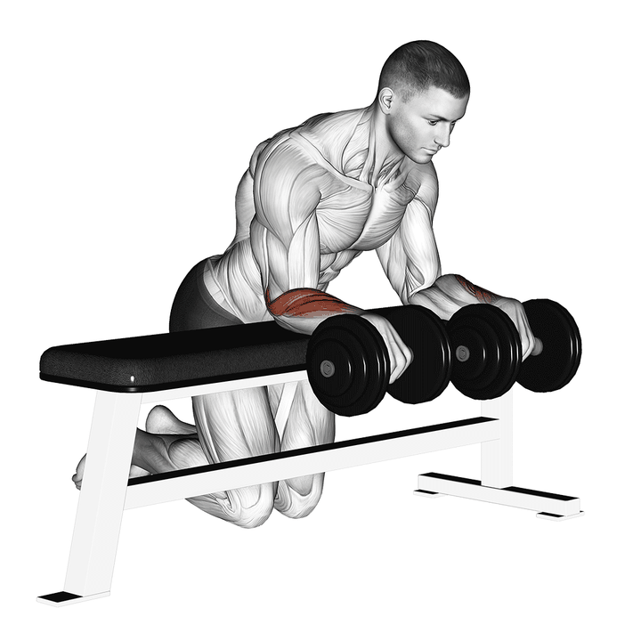 Demonstration of the dumbbell over bench wrist curl