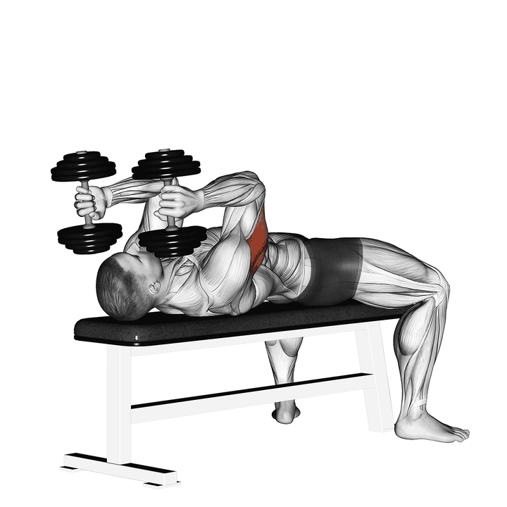 Demonstration of the dumbbell lying triceps extension