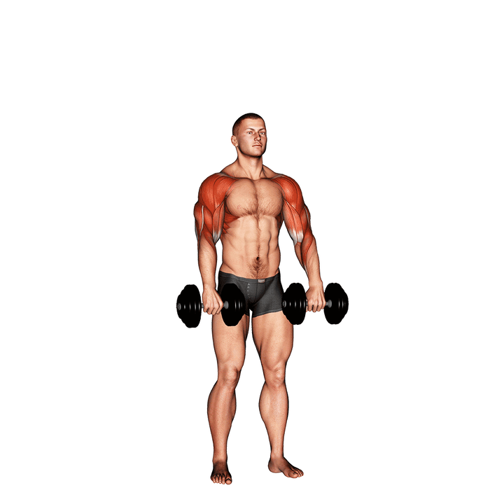 Demonstration of the dumbbell cuban press