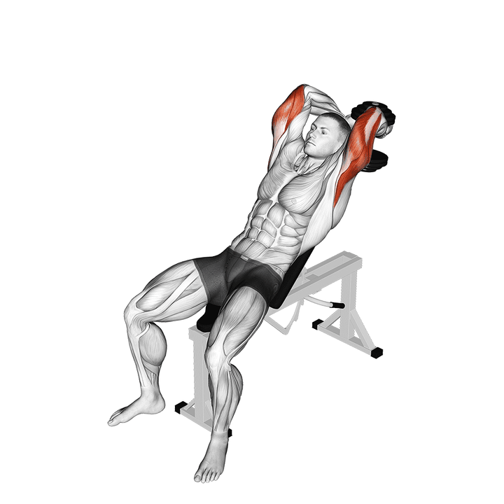 Demonstration of the dumbbell incline two arm extension