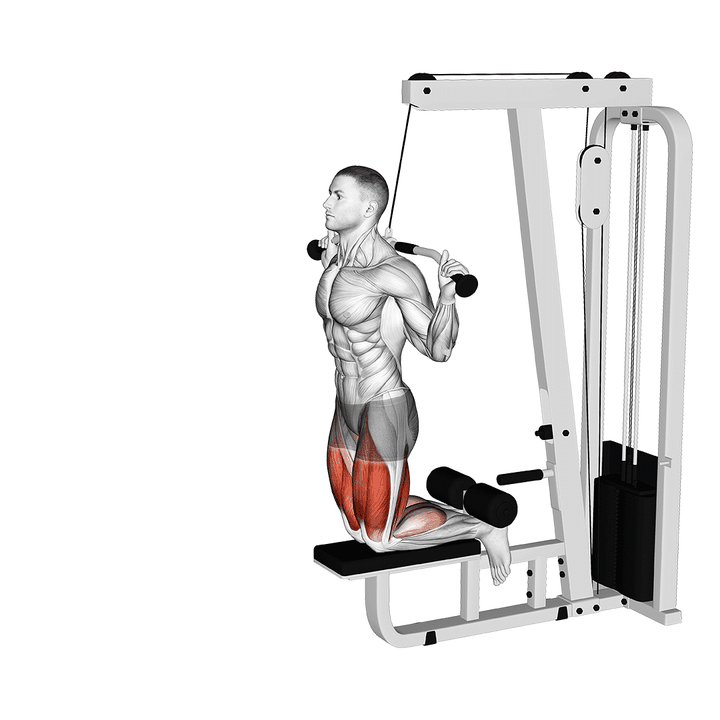 Demonstration of the cable assisted inverse leg curl