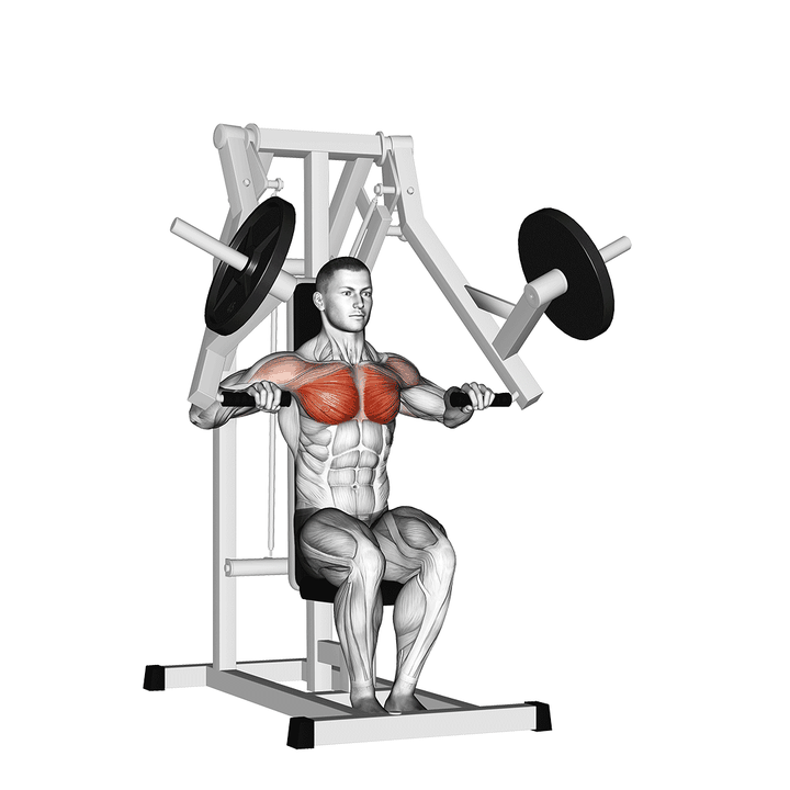 Demonstration of the lever chest press with classic