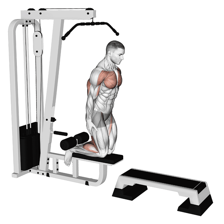 Demonstration of the inverse leg curl (on pull-up cable machine)