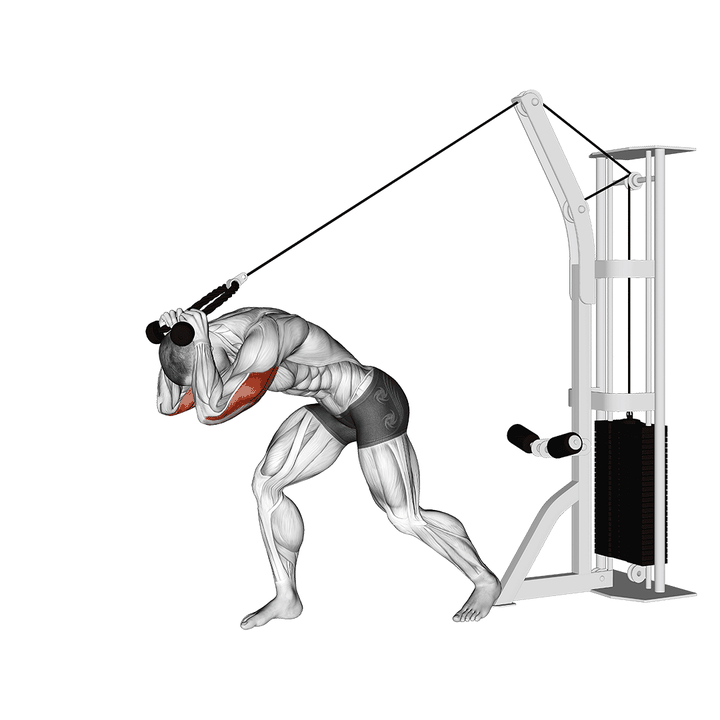Demonstration of the cable rope high pulley overhead tricep extension