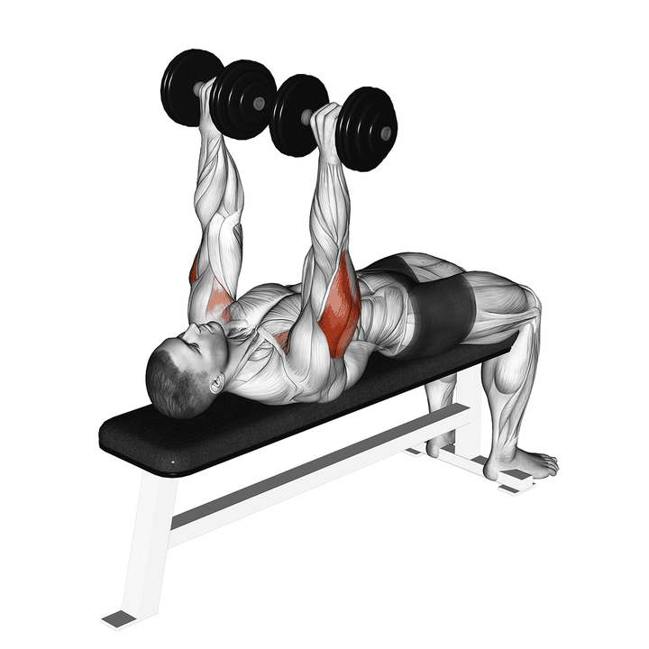 Demonstration of the dumbbell tate press