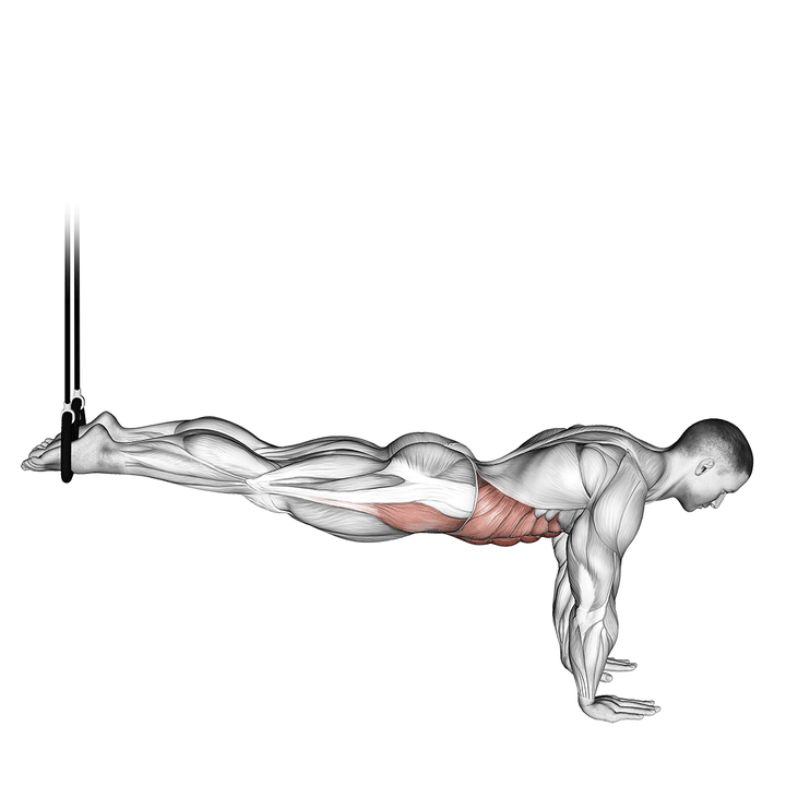 Demonstration of the suspended reverse crunch