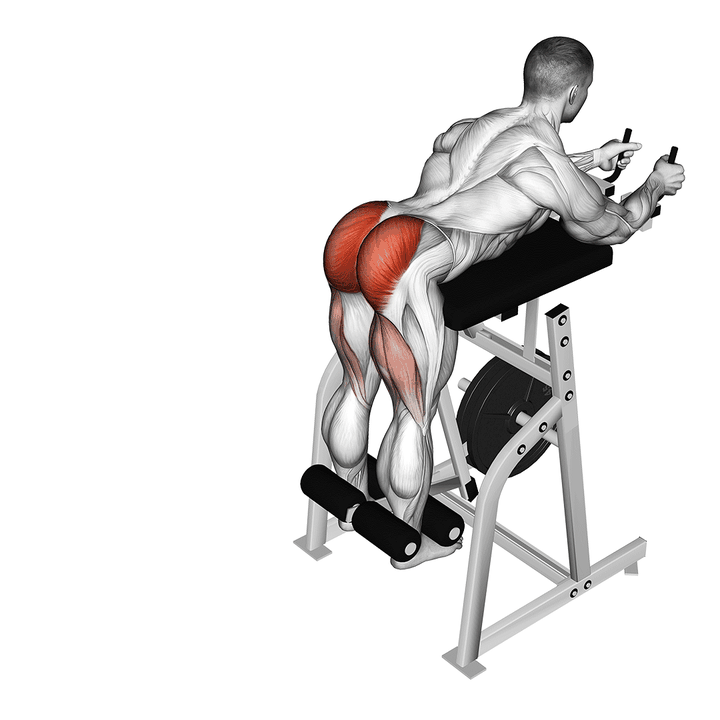 Demonstration of the lever reverse hyperextension