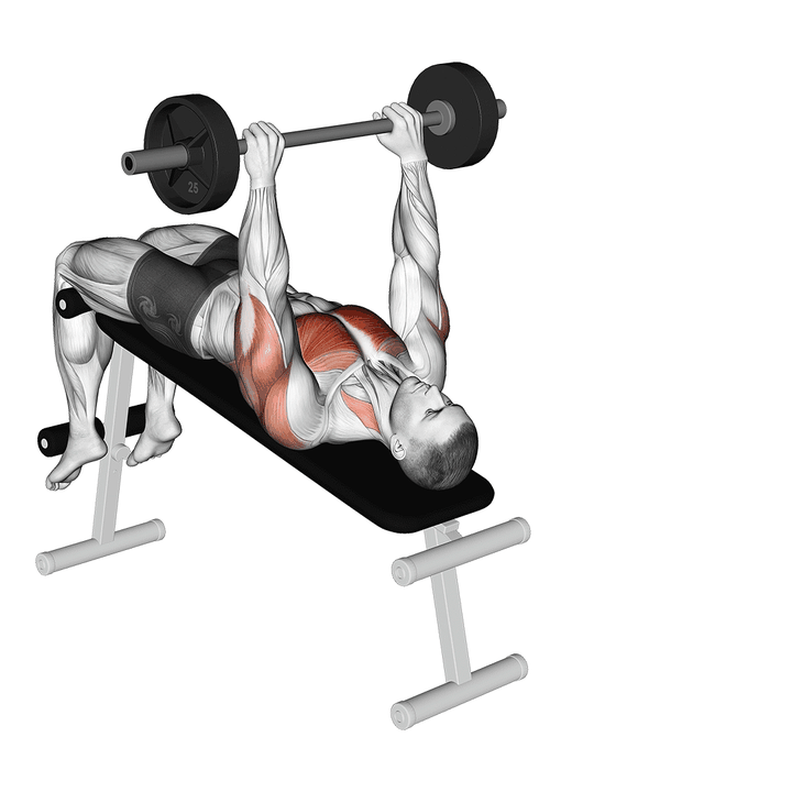 Demonstration of the barbell decline pullover