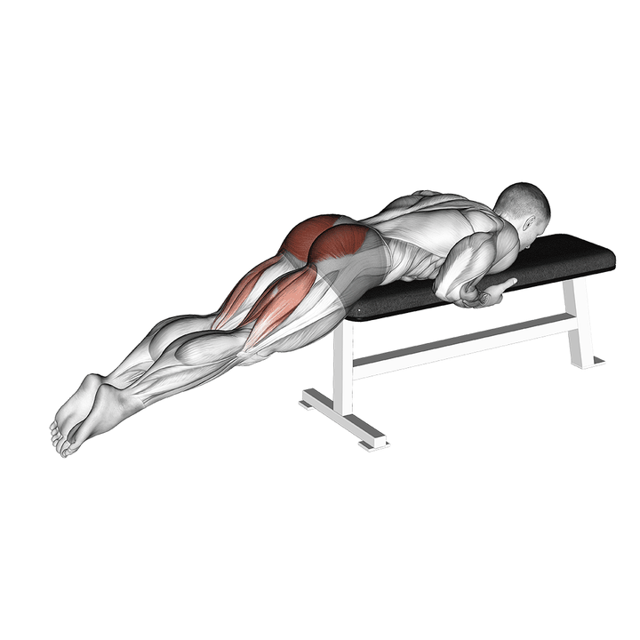 Demonstration of the reverse hyper on flat bench