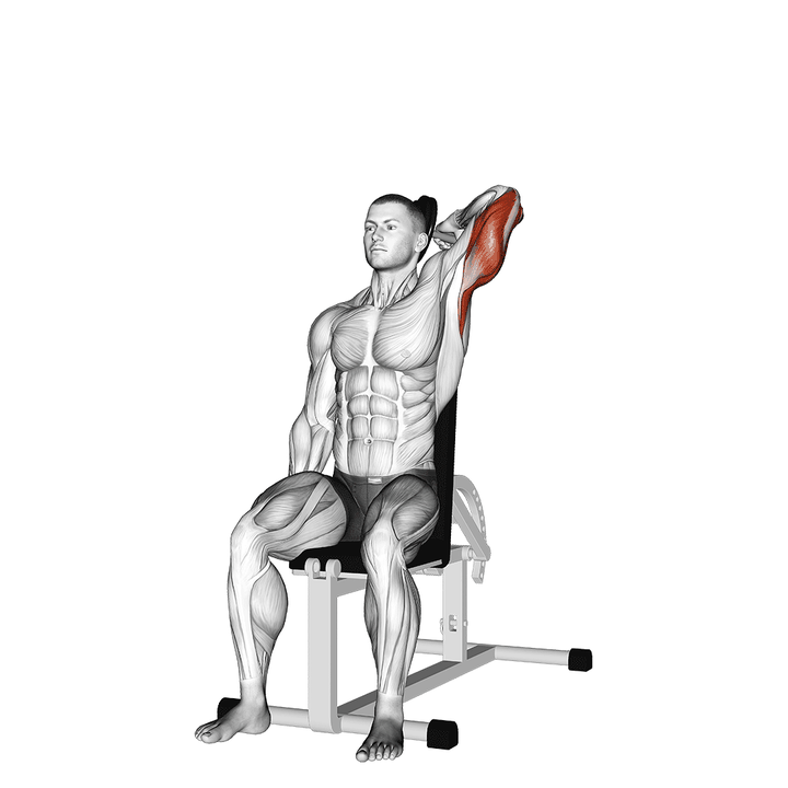 Demonstration of the dumbbell seated reverse grip one arm overhead tricep extension