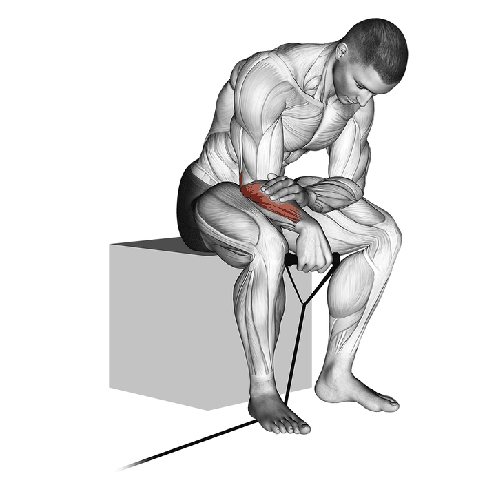 Demonstration of the band reverse wrist curl
