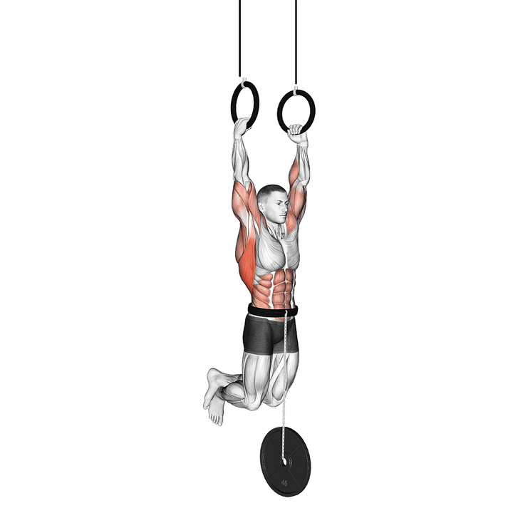 Demonstration of the weighted muscle up