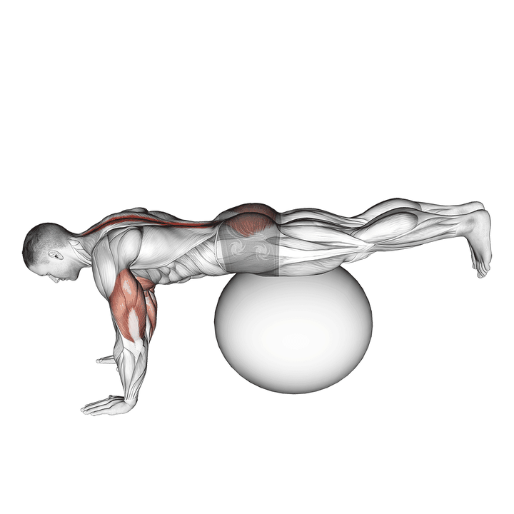 Demonstration of the exercise ball prone leg raise