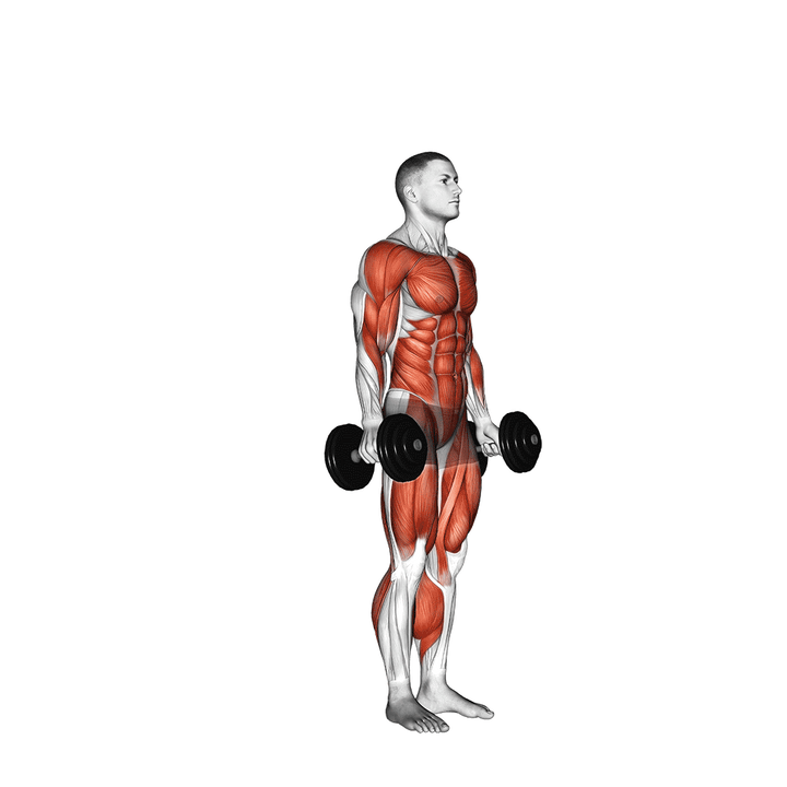 Demonstration of the dumbbell burpee