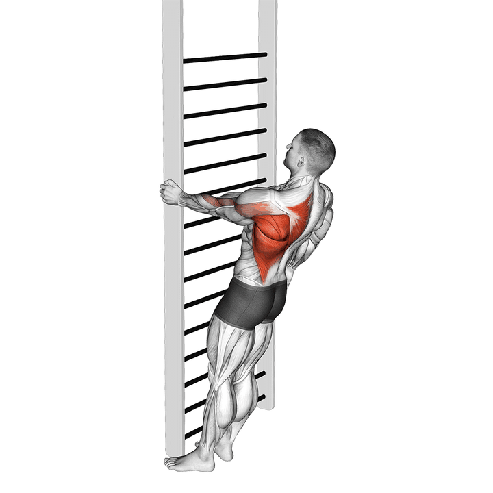 Demonstration of the bodyweight standing close-grip one arm row