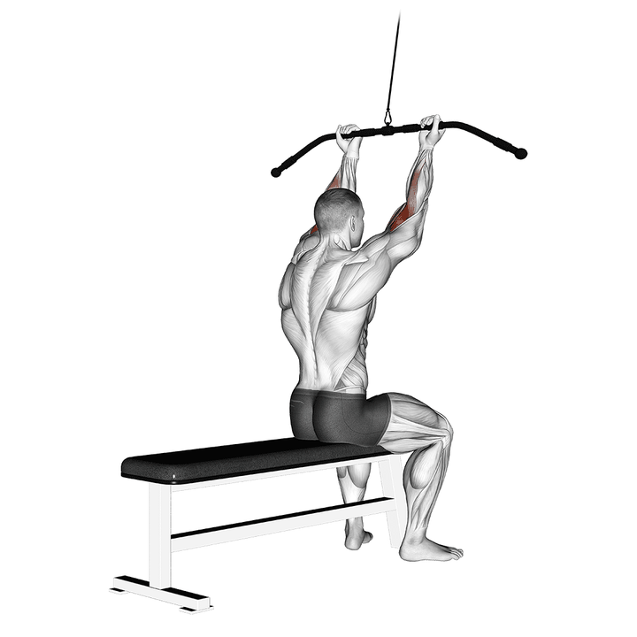 Demonstration of the cable pulldown bicep curl