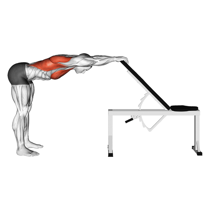 Demonstration of the back pec stretch