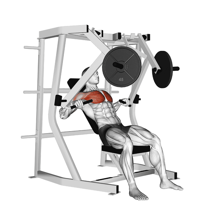 Demonstration of the lever decline chest press