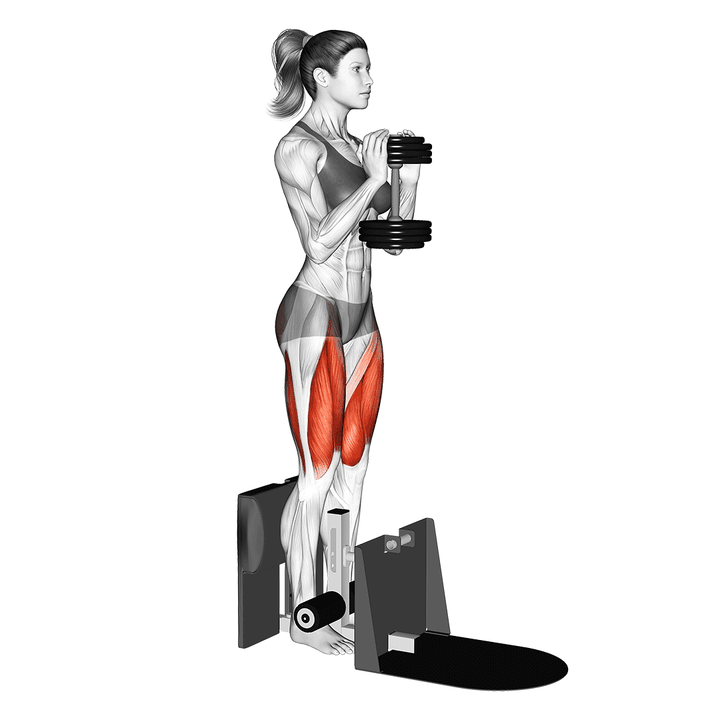 Demonstration of the dumbbell supported squat