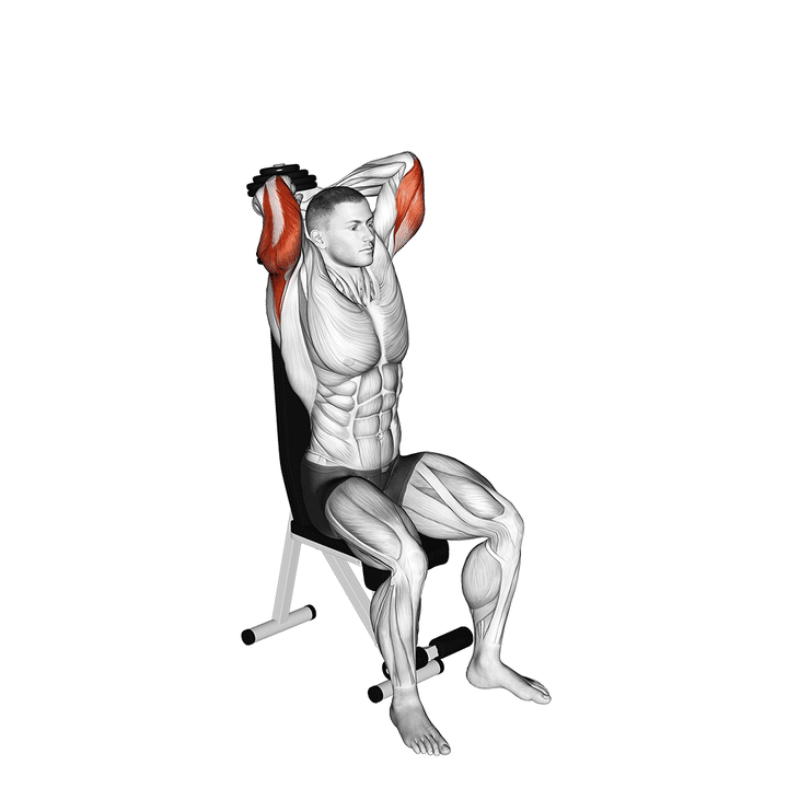 Demonstration of the ground dumbbell seated triceps extension