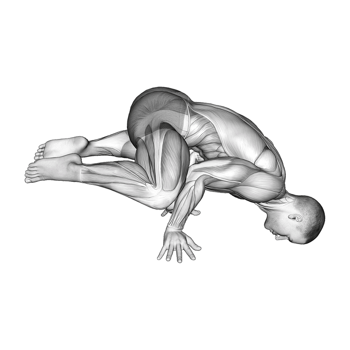 Demonstration of the narrow frog planche