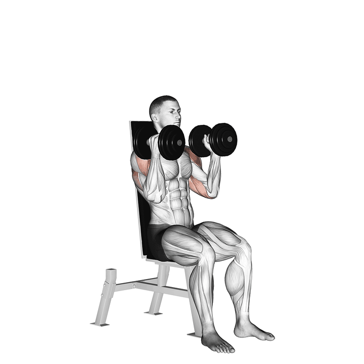 Demonstration of the dumbbell seated alternate press