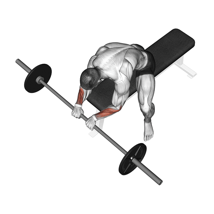 Demonstration of the barbell reverse wrist curl