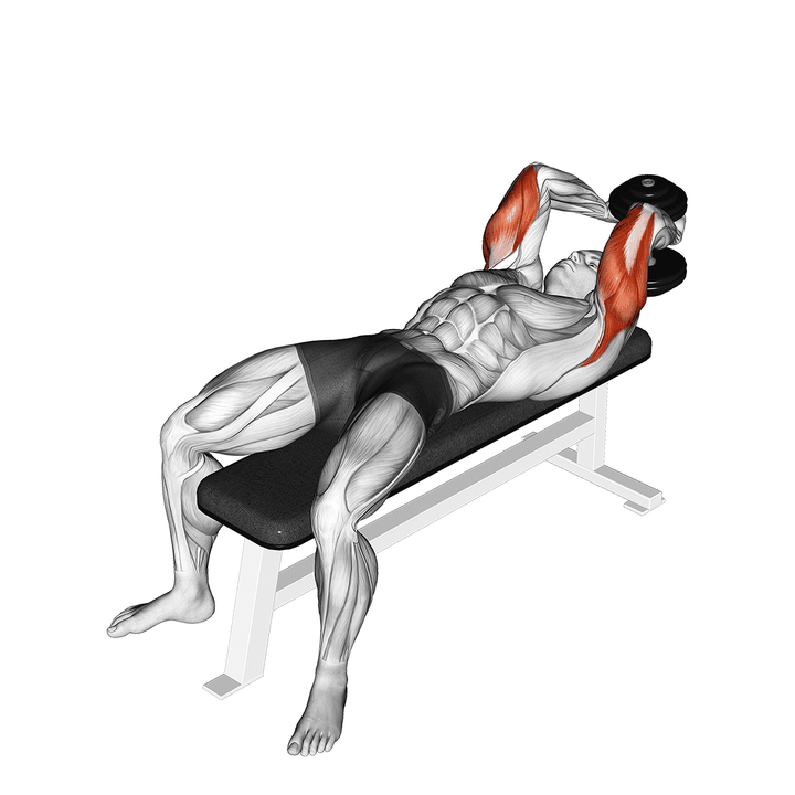 Demonstration of the dumbbell lying single extension