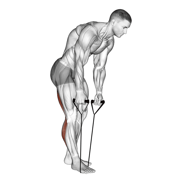 Demonstration of the standing hamstring and calf stretch with strap