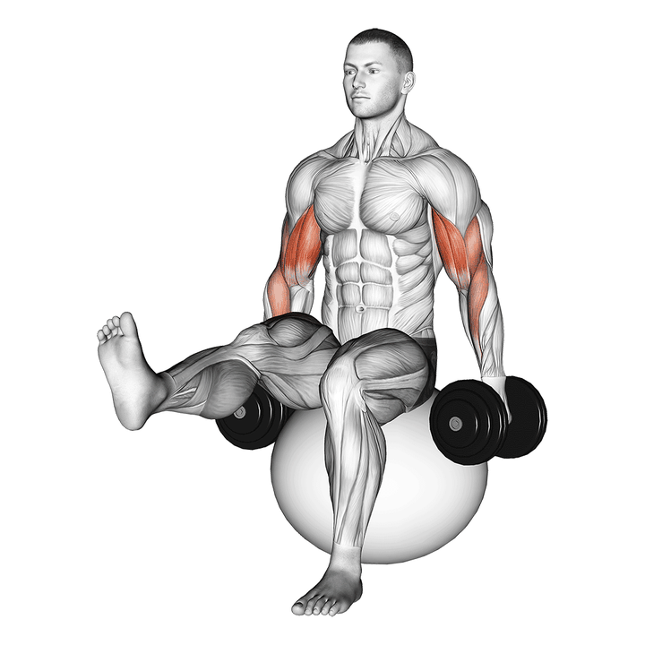Demonstration of the dumbbell bicep curl on exercise ball with leg raised