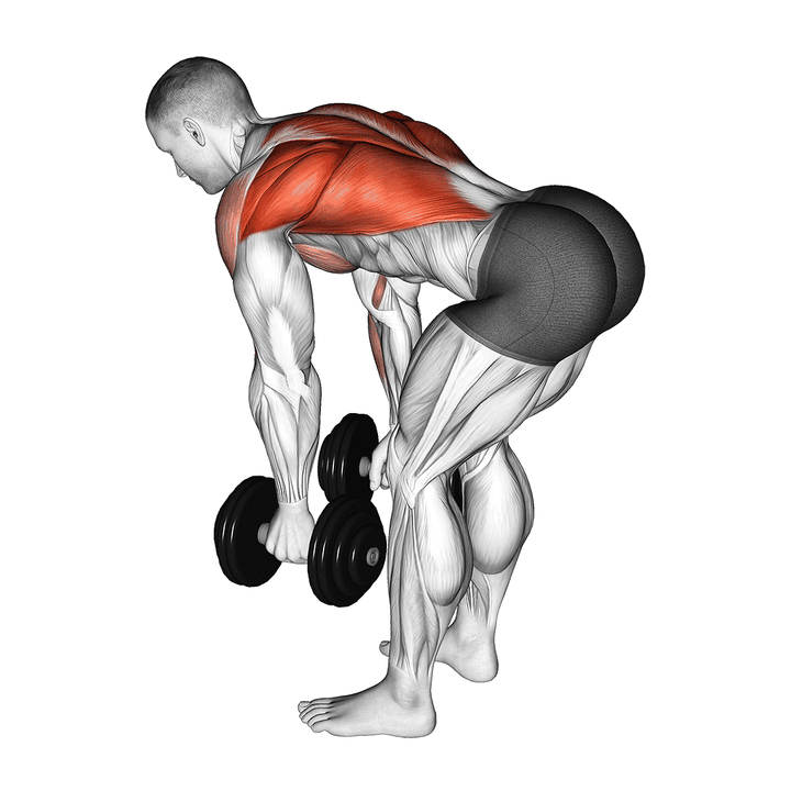 Demonstration of the dumbbell bent-over row