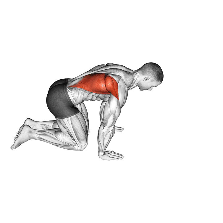 Demonstration of the kneeling lat stretch
