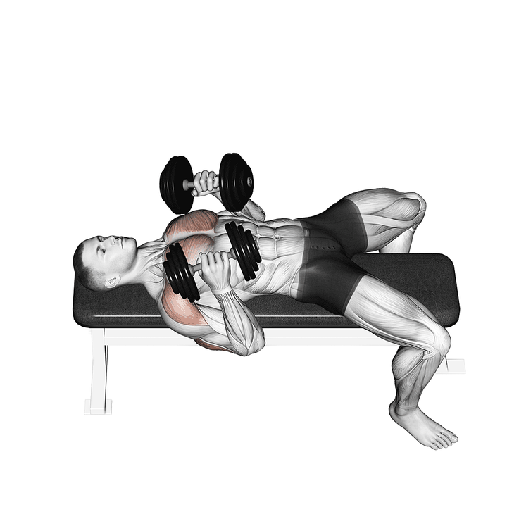 Demonstration of the dumbbell lying elbow press