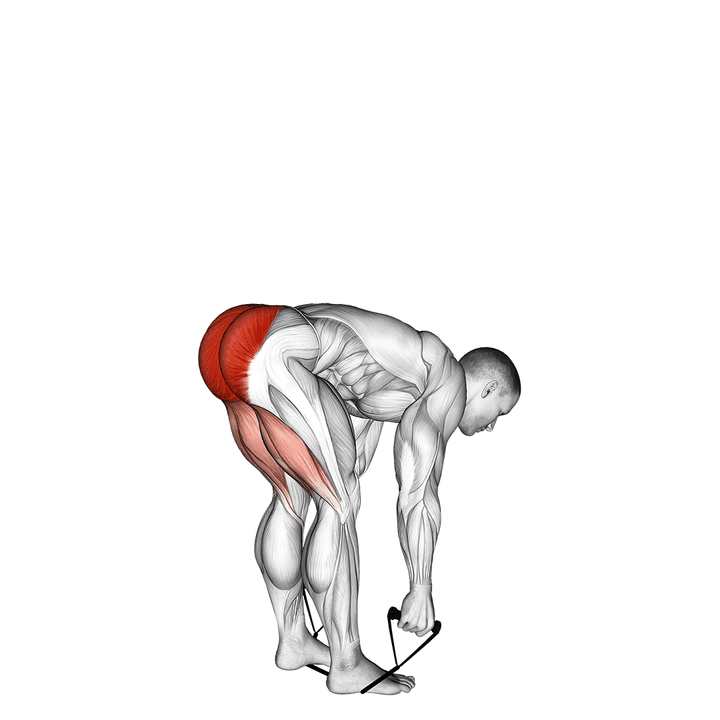 Demonstration of the band stiff leg deadlift
