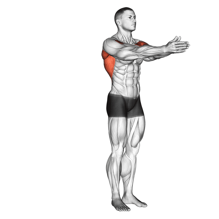 Demonstration of the dynamic chest stretch (male)