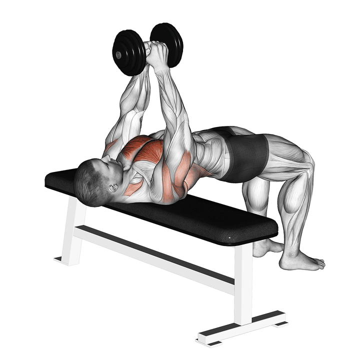 Demonstration of the dumbbell pullover