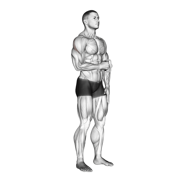 Demonstration of the cable standing shoulder external rotation