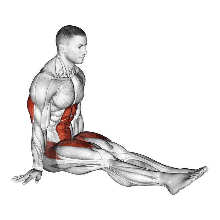 Demonstration of the l-sit on floor