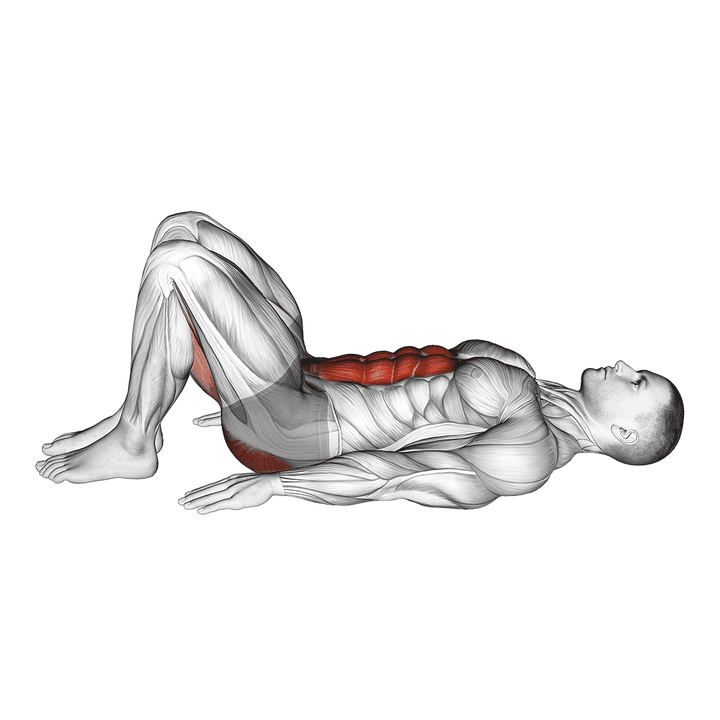 Demonstration of the pelvic tilt